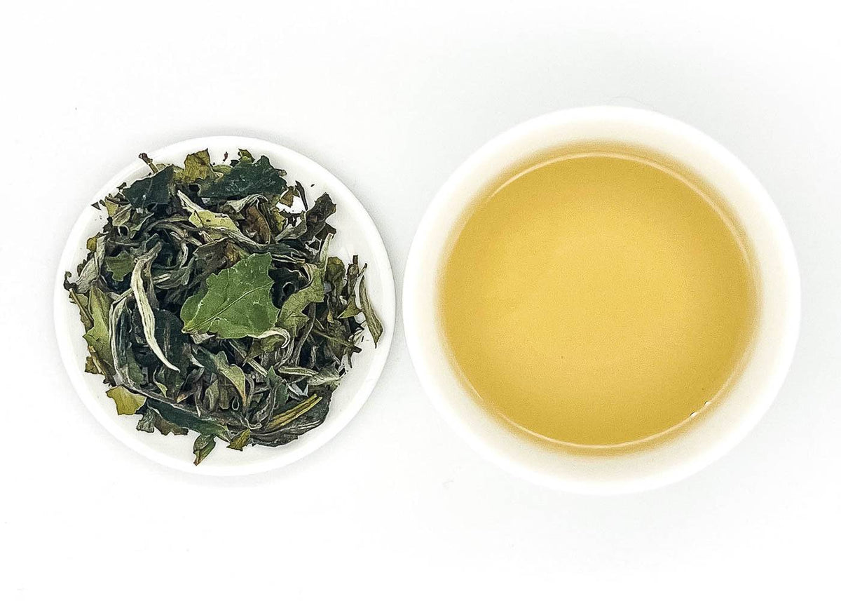 White Tea - PAI MU TAN ORGANIC